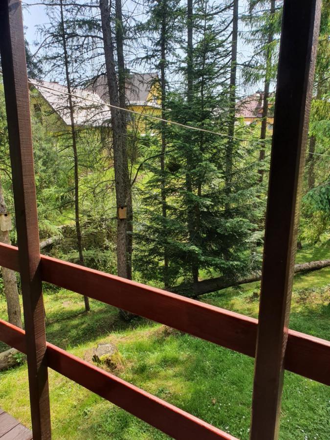Domki Letniskowe Pod Brzozami Stella Polańczyk Exteriér fotografie